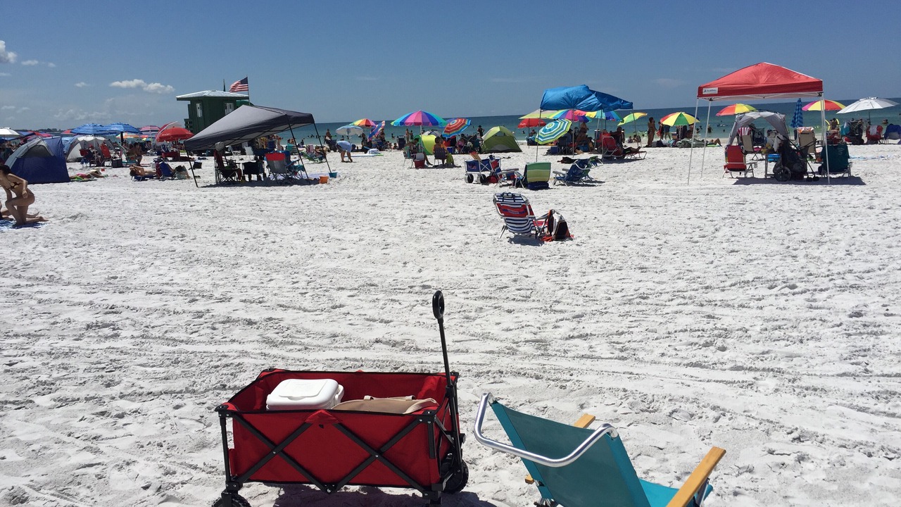 Photo of Others in Siesta Key