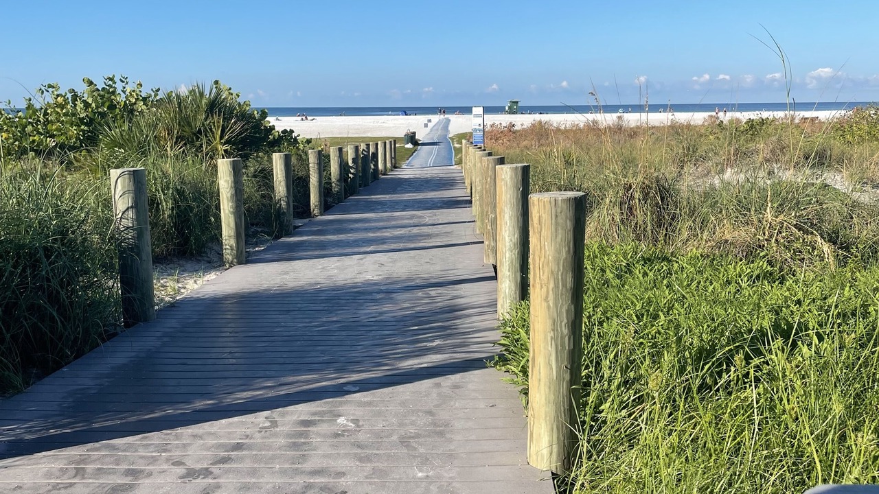 Photo of Others in Siesta Key