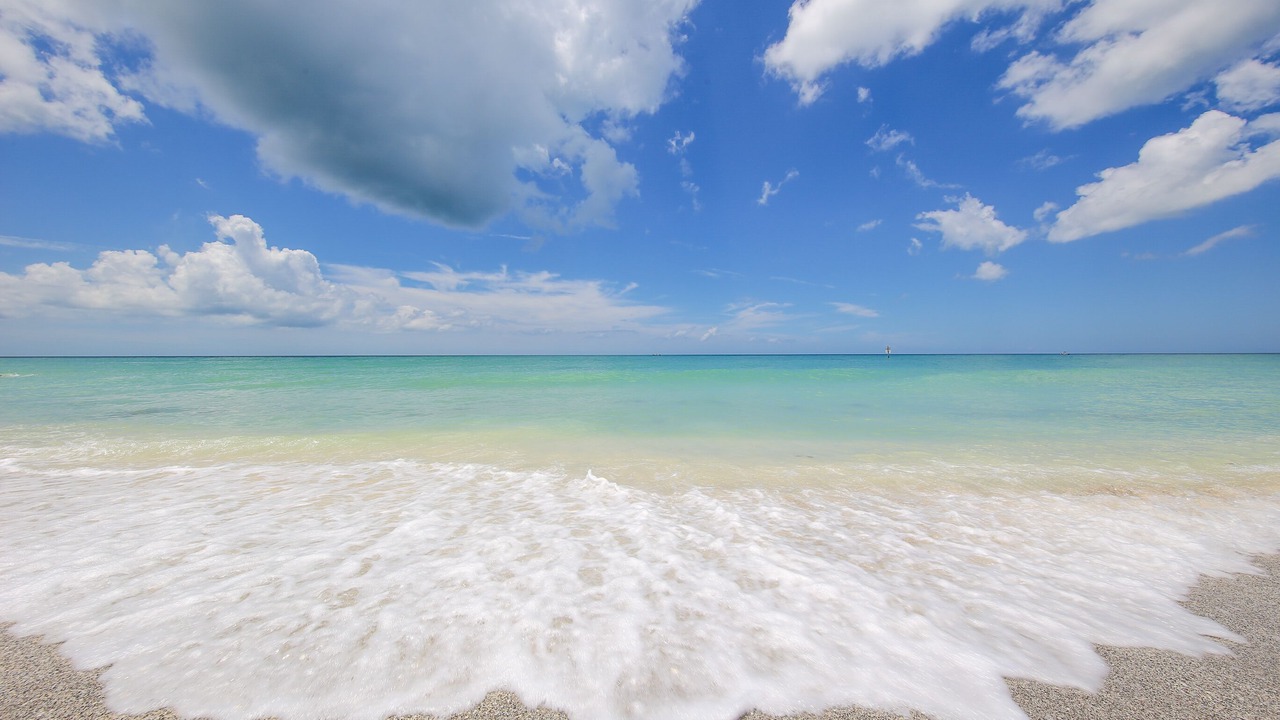 Photo of Others in Siesta Key