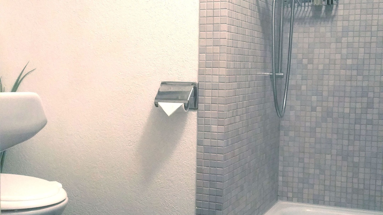 Photo of Bathroom in Muhlebach