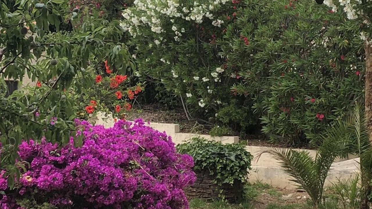 Photo of Outdoor in Paichi