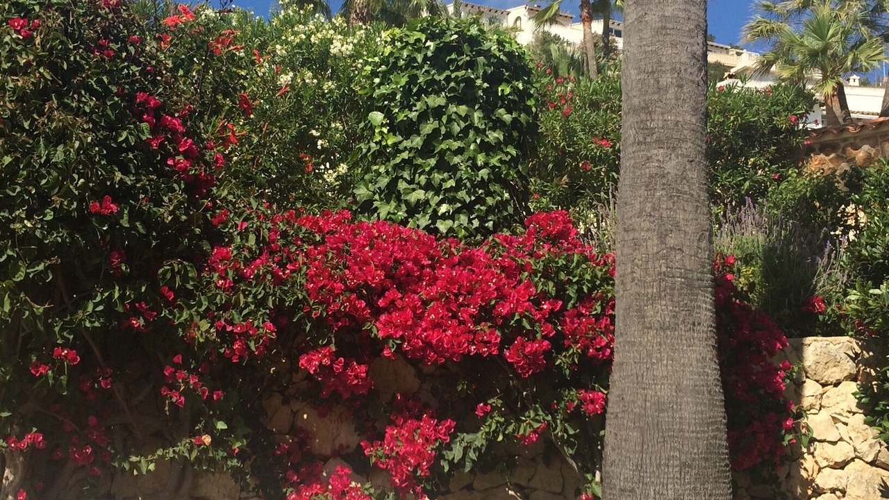 Photo of Outdoor in Paichi