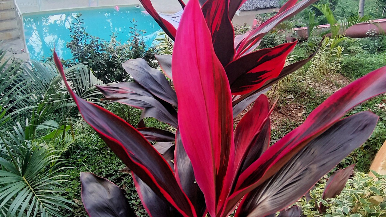 Photo of Outdoor in Puerto Princesa