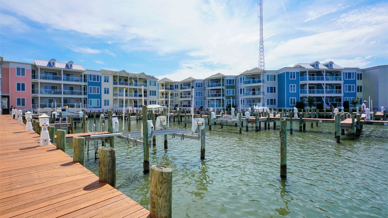 Photo of Others in Chincoteague
