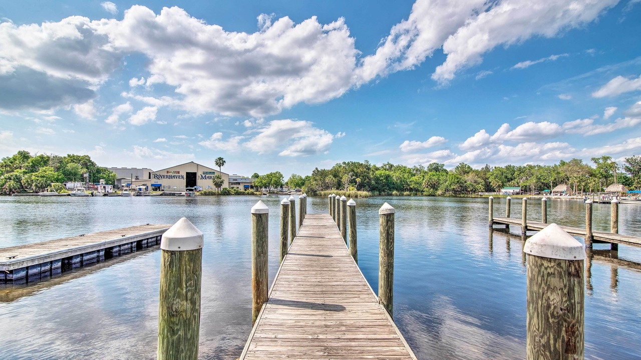 Photo of Others in Homosassa