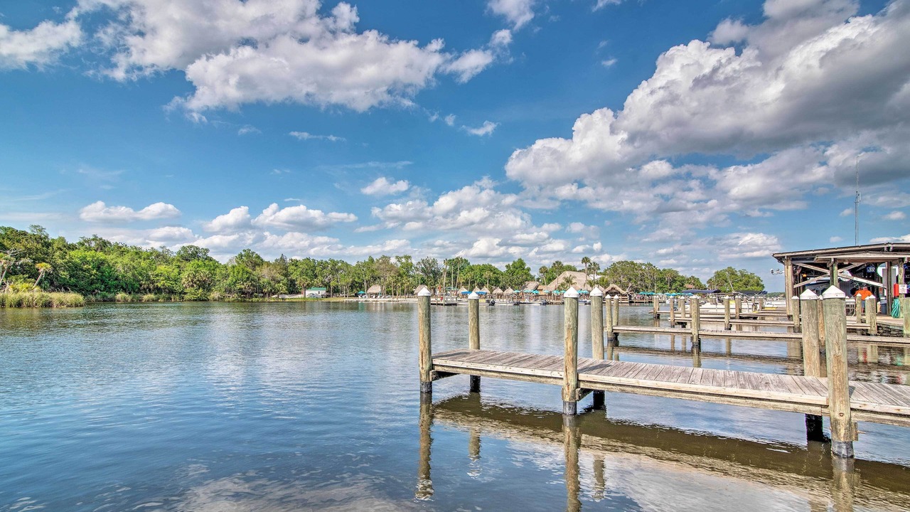 Photo of Others in Homosassa