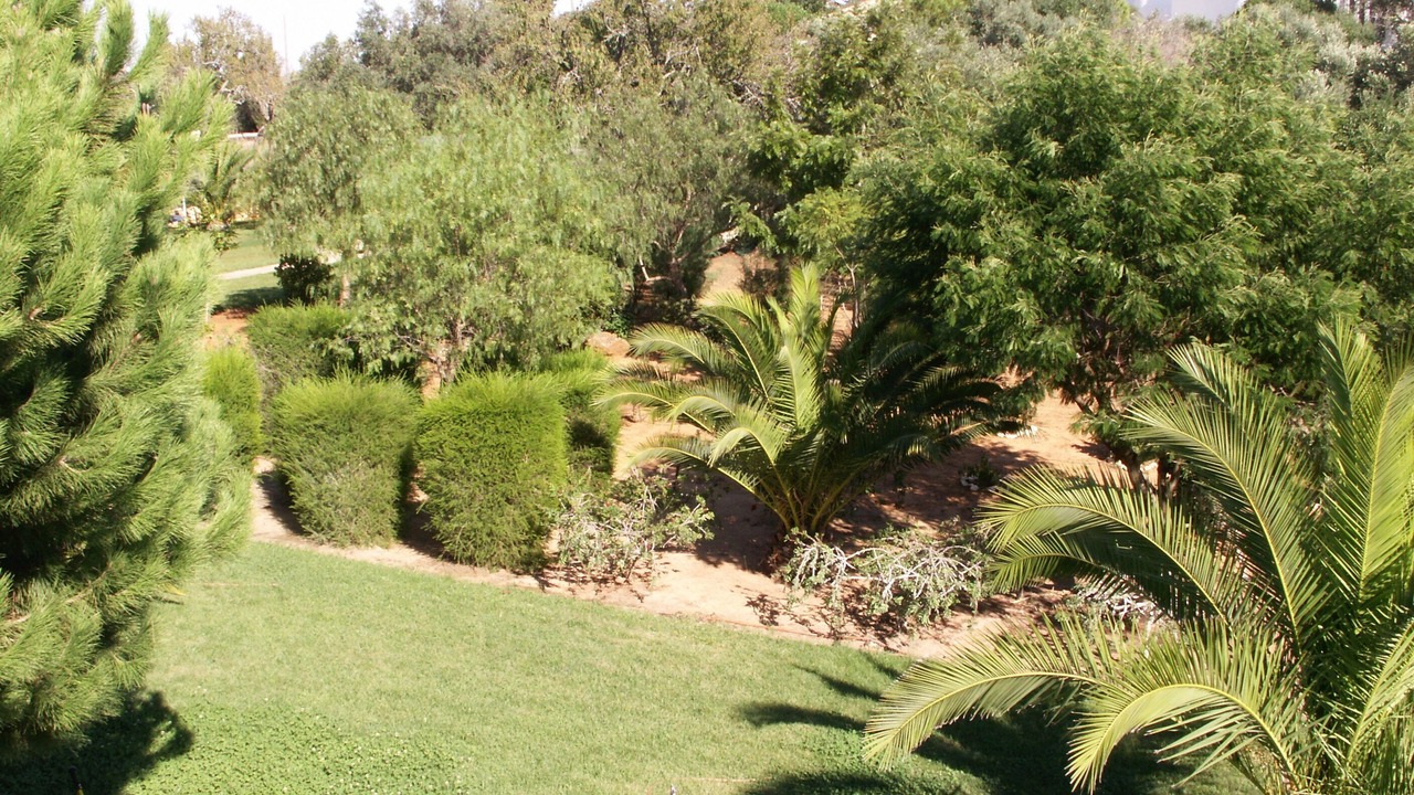 Photo of Outdoor in Funchal