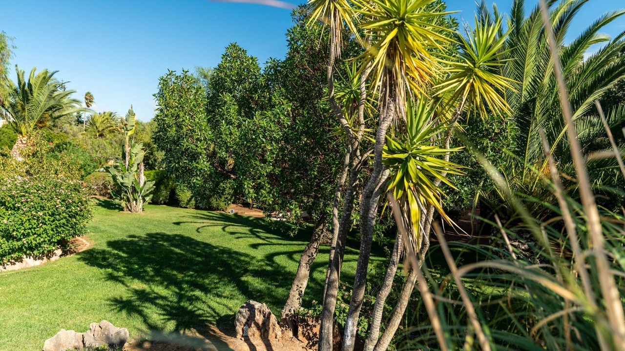 Photo of Outdoor in Funchal