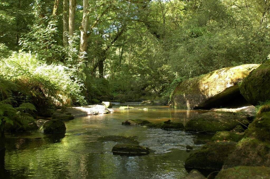 Photo of Outdoor in La Foeil