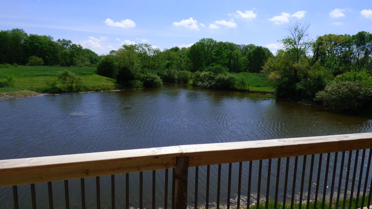 Photo of Outdoor in Acton