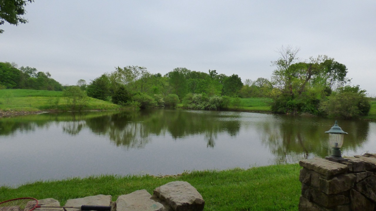 Photo of Outdoor in Acton
