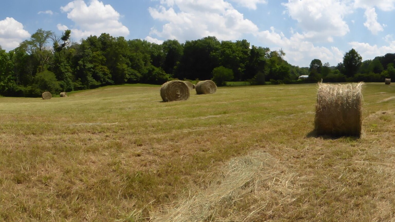 Photo of Others in Acton