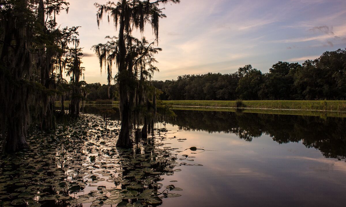 Photo of Outdoor in Ocklawaha