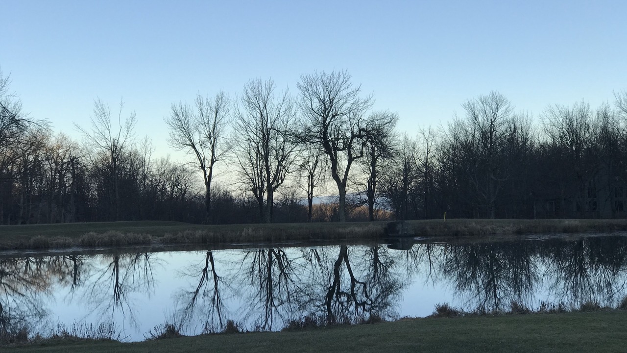 Photo of Outdoor in Deer Springs