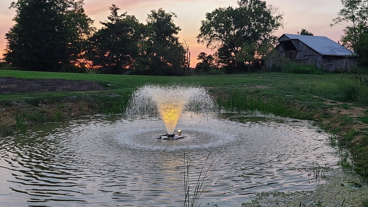 Photo of Outdoor in De Mossville