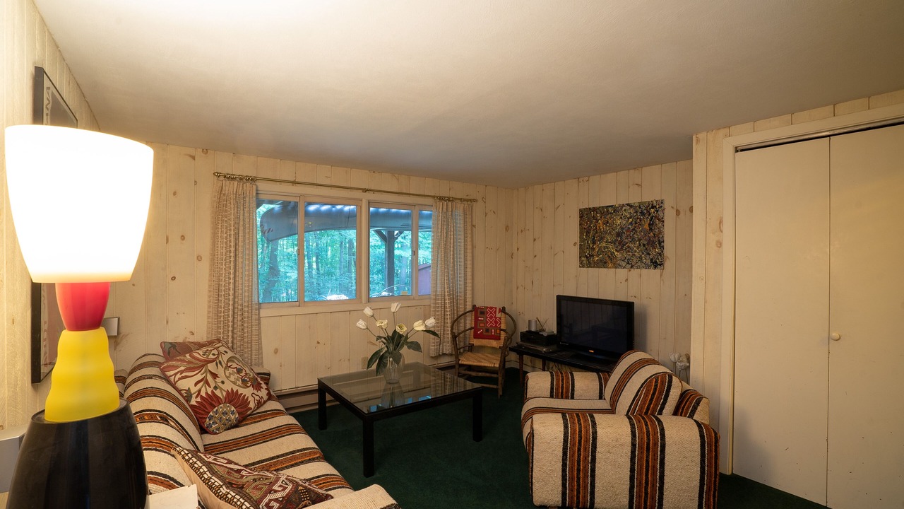 Photo of Livingroom in Hensonville