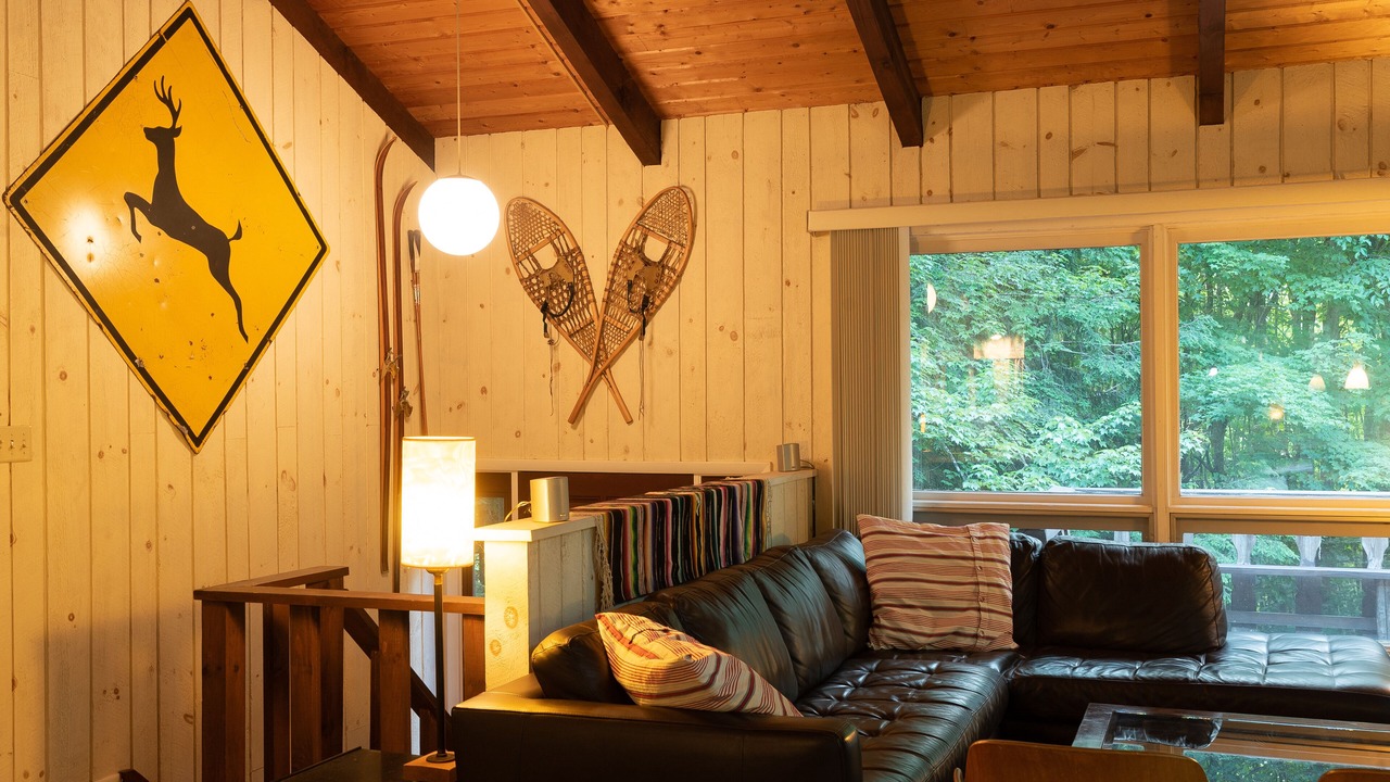 Photo of Livingroom in Hensonville