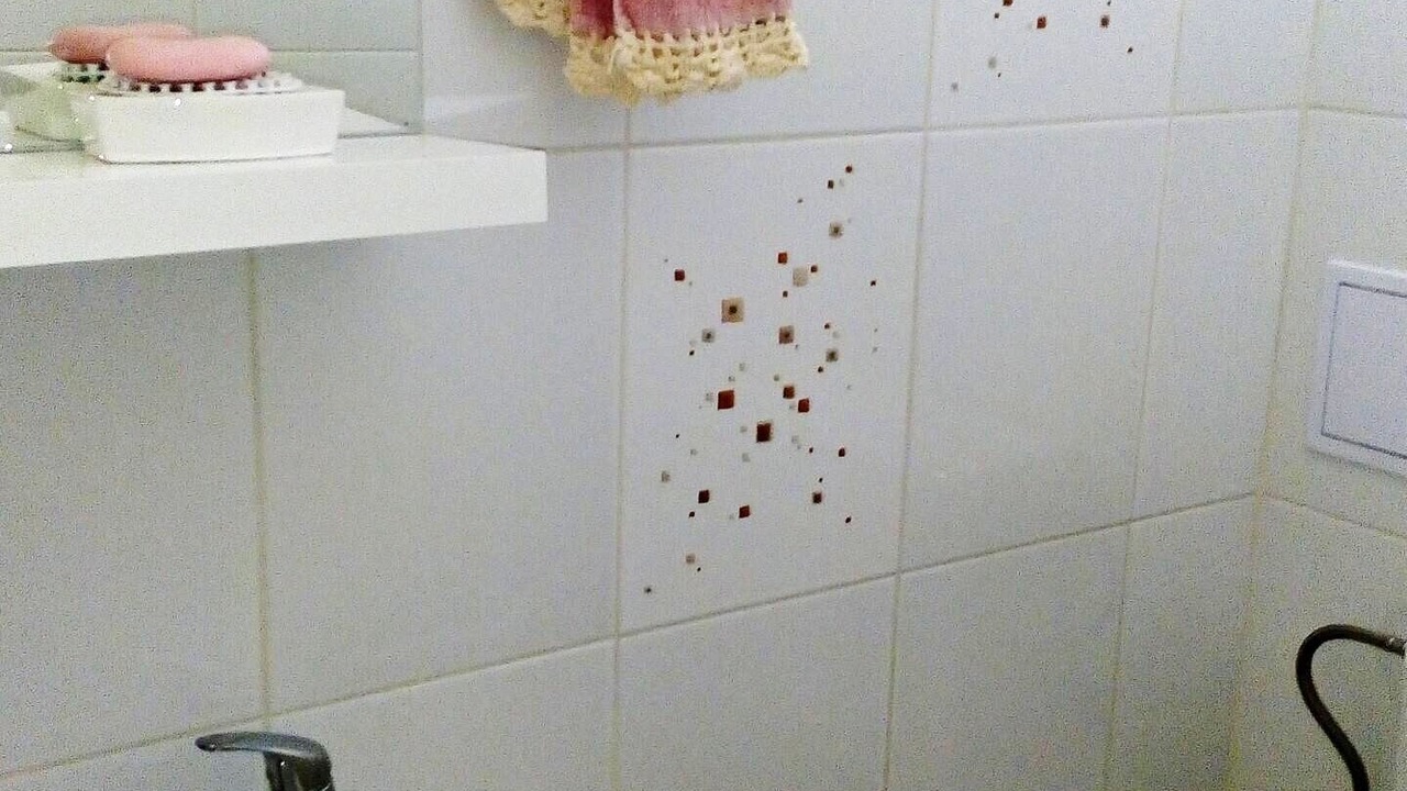 Photo of Bathroom in Split