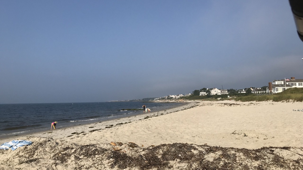 Photo of Others in Northwest Harwich