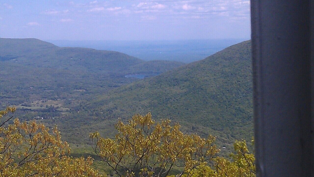 Photo of Outdoor in Willow