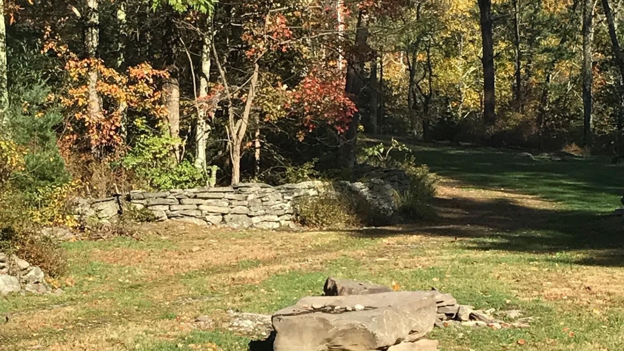 Photo of Others in Willow