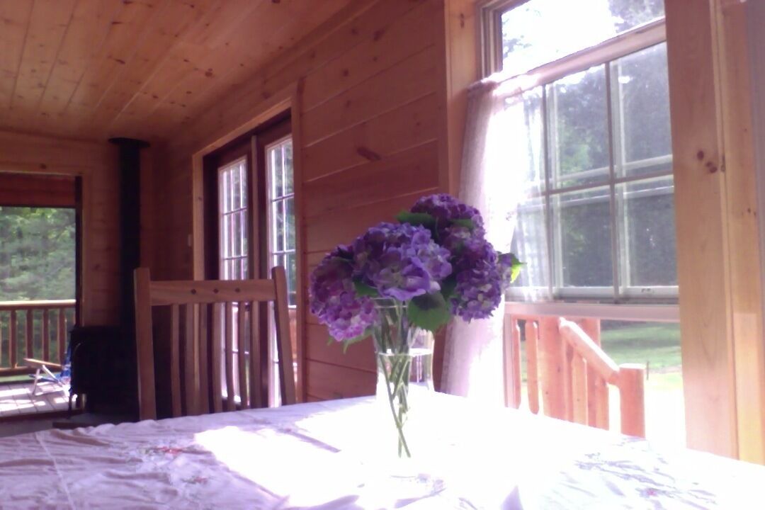 Photo of Bedroom in Willow