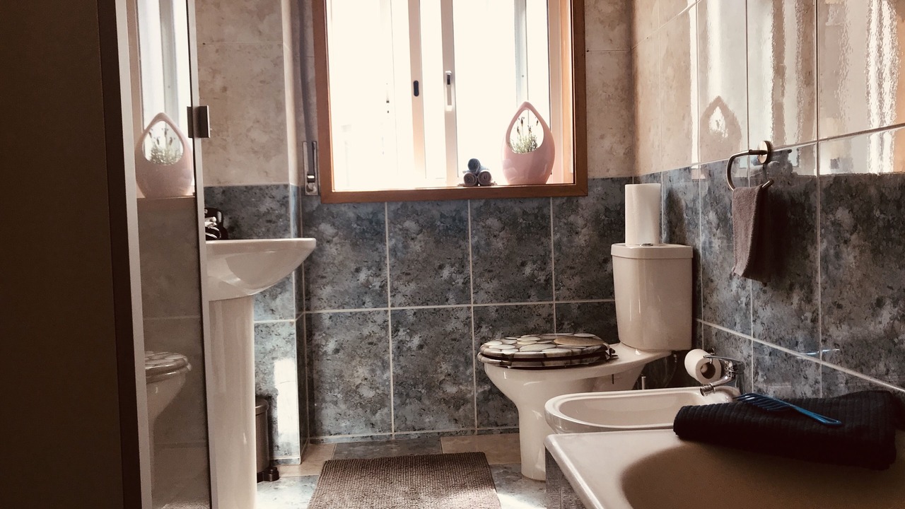 Photo of Bathroom in Espinho