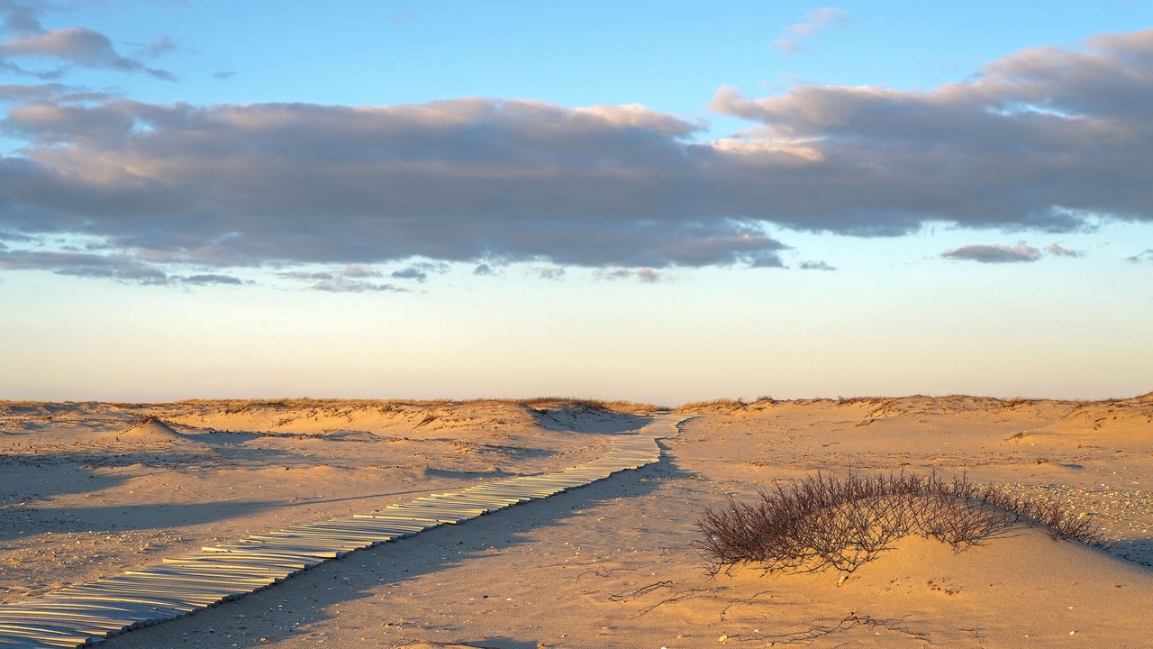 Photo of Others in Edgartown