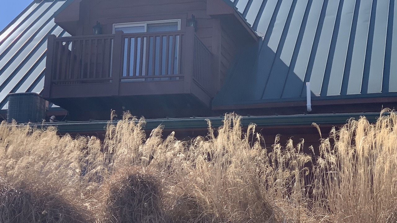 Photo of Outdoor in Avoca