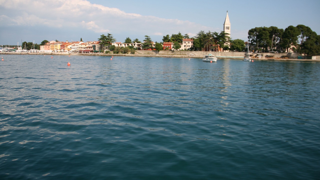 Photo of Others in Novigrad