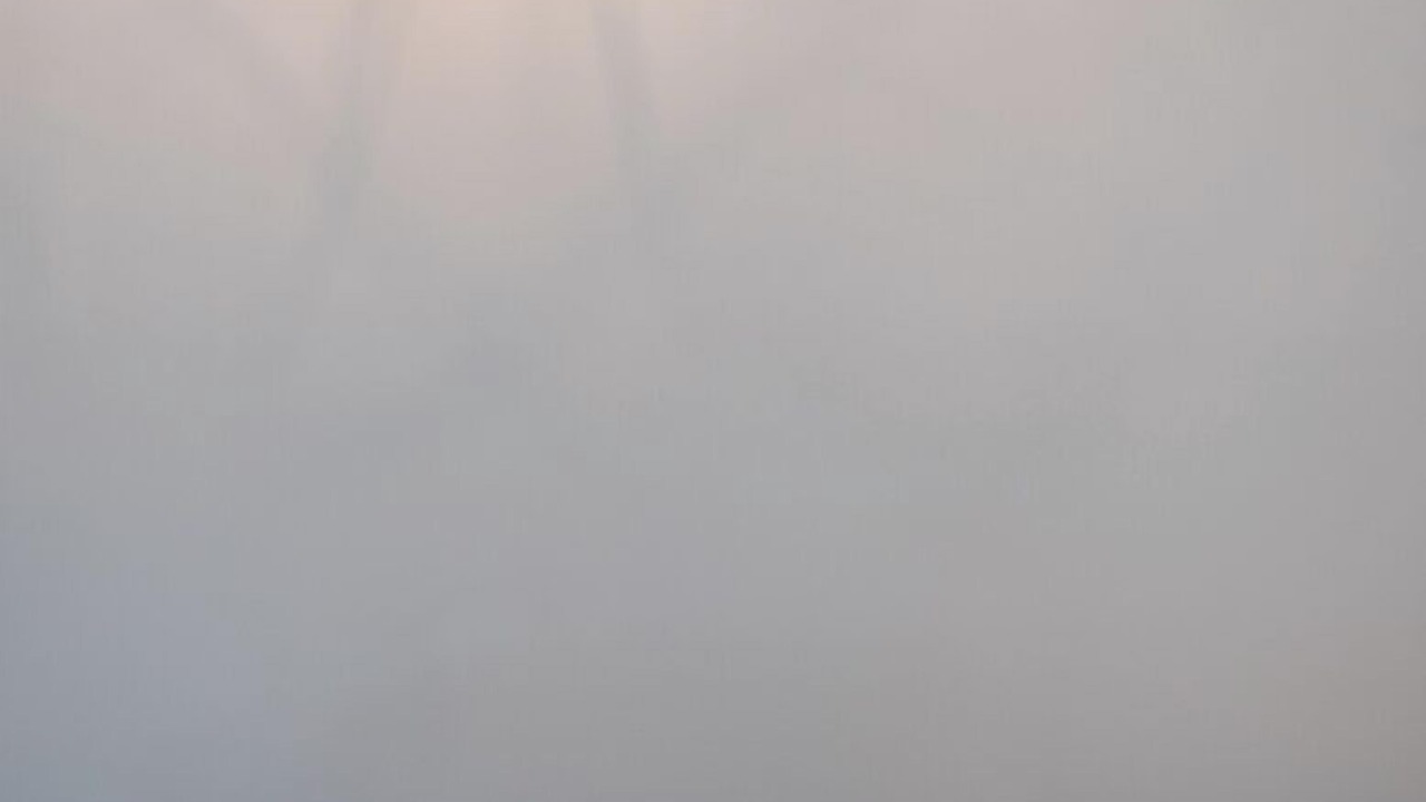 Photo of Others in South Chatham
