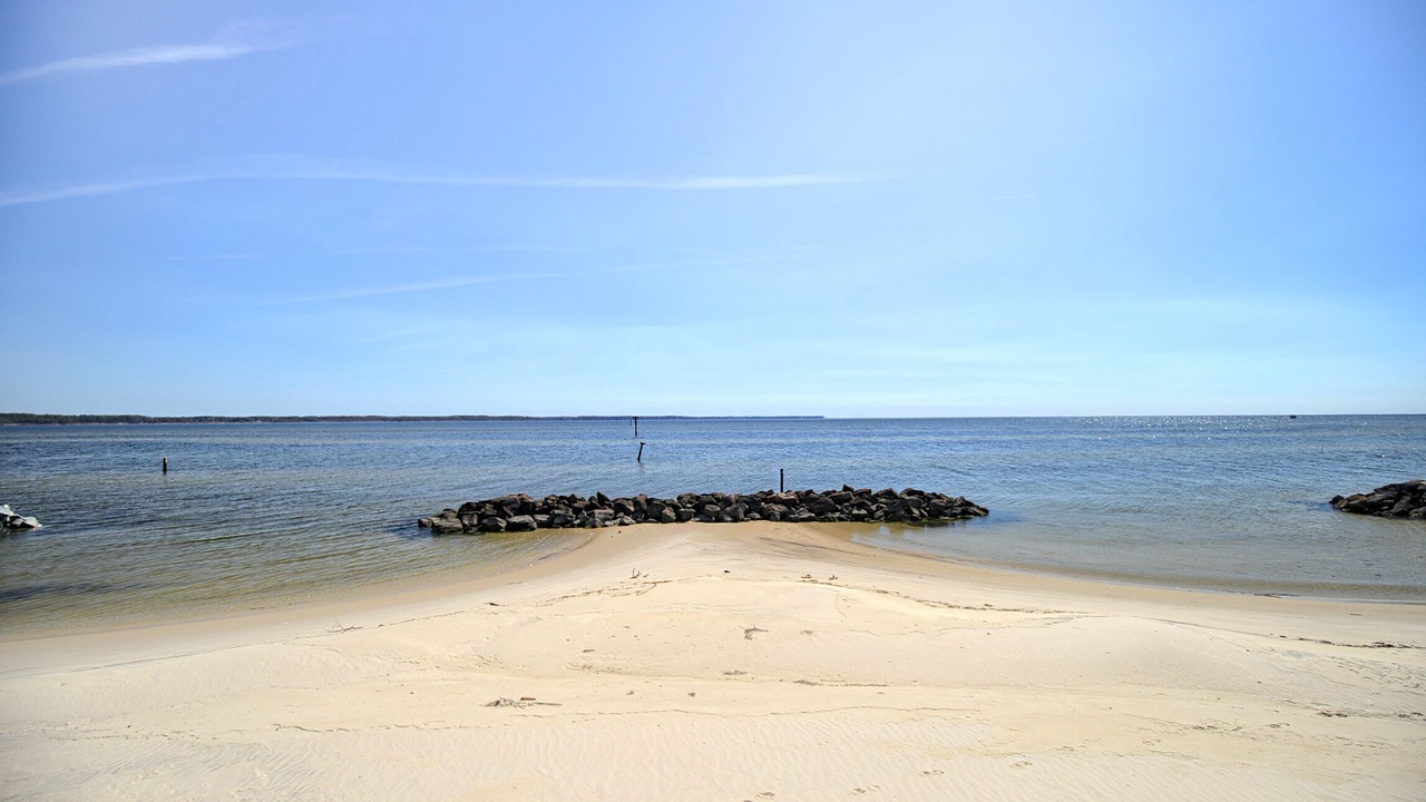 Photo of Others in Severn