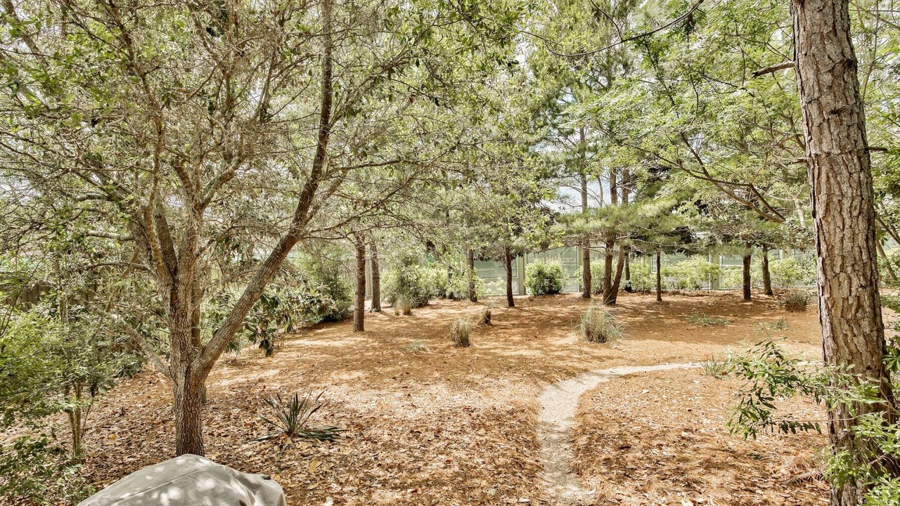 Photo of Outdoor in Cottage District