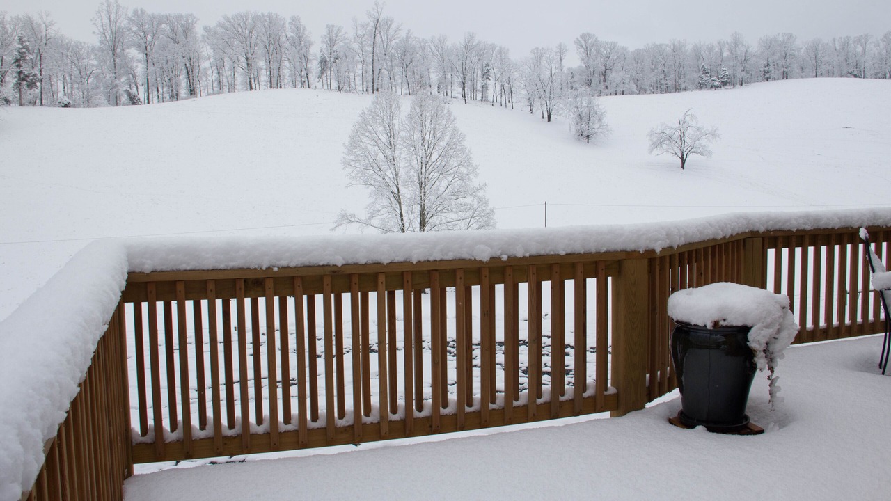 Photo of Outdoor in Lexington