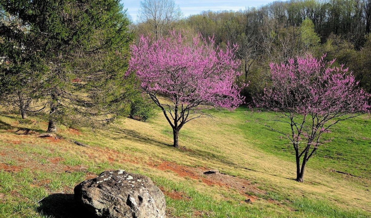 Photo of Others in Afton