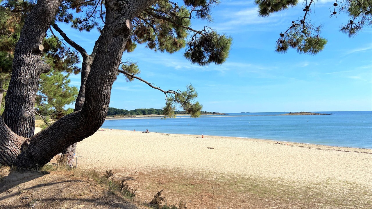 Photo of Others in La Trinite-sur-Mer