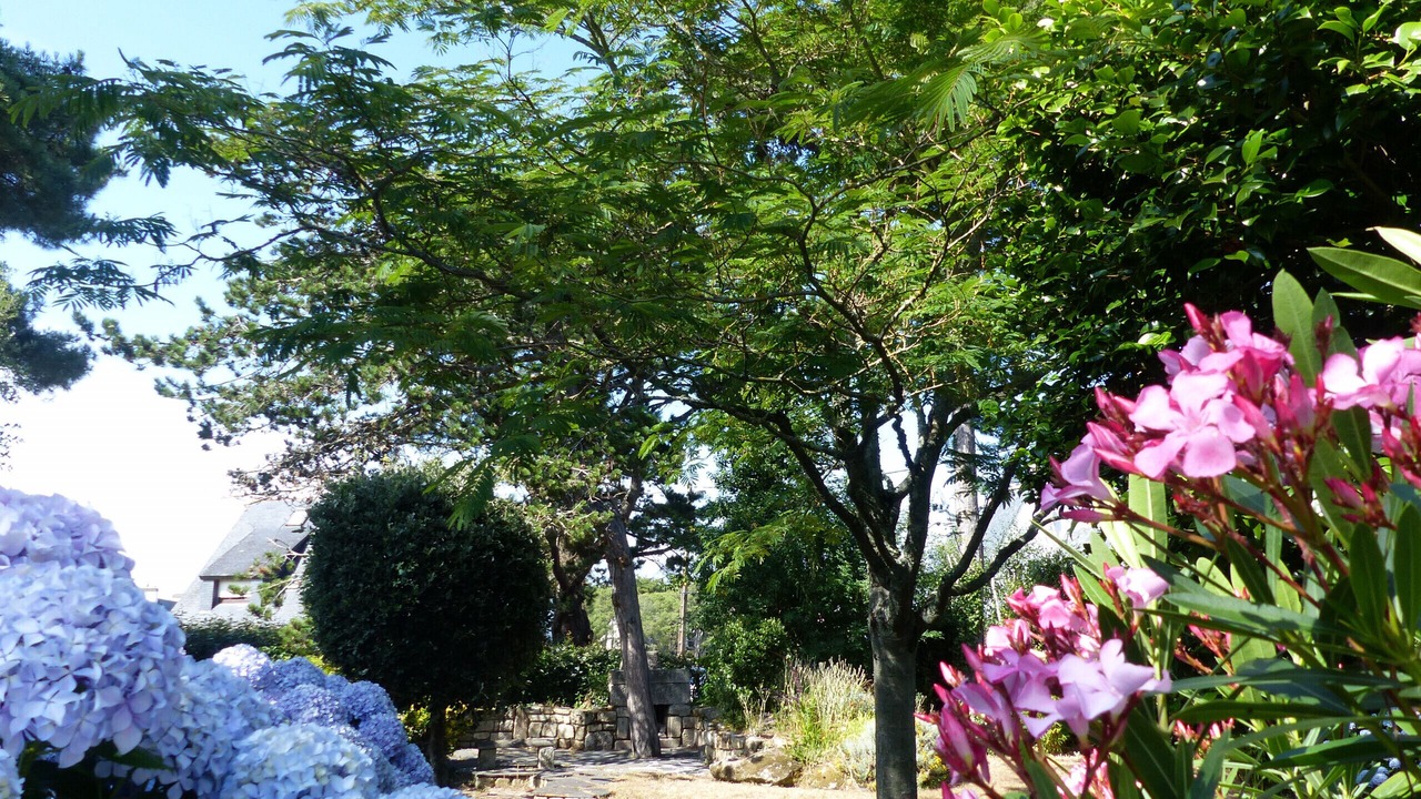 Photo of Outdoor in Carnac