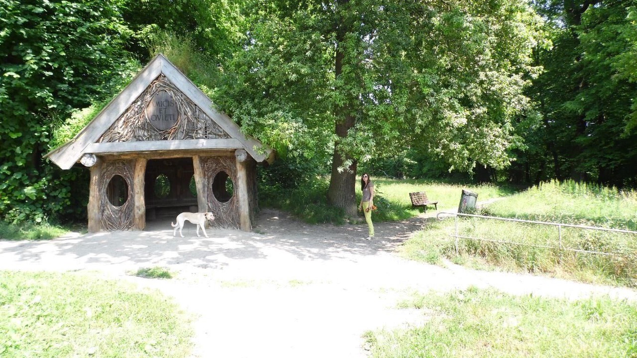 Photo of Outdoor in Nienstedten