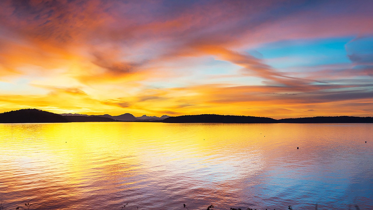 Photo of Others in Lopez Island
