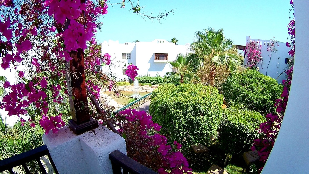Photo of Outdoor in El Hadaba