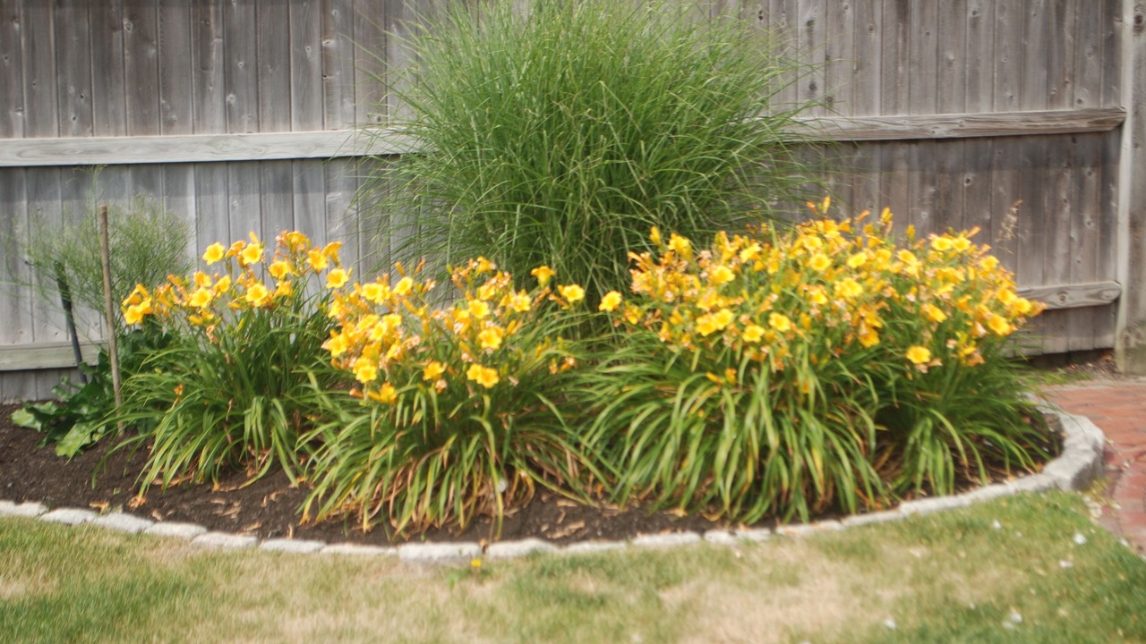 Photo of Outdoor in Green Harbor-Cedar Crest