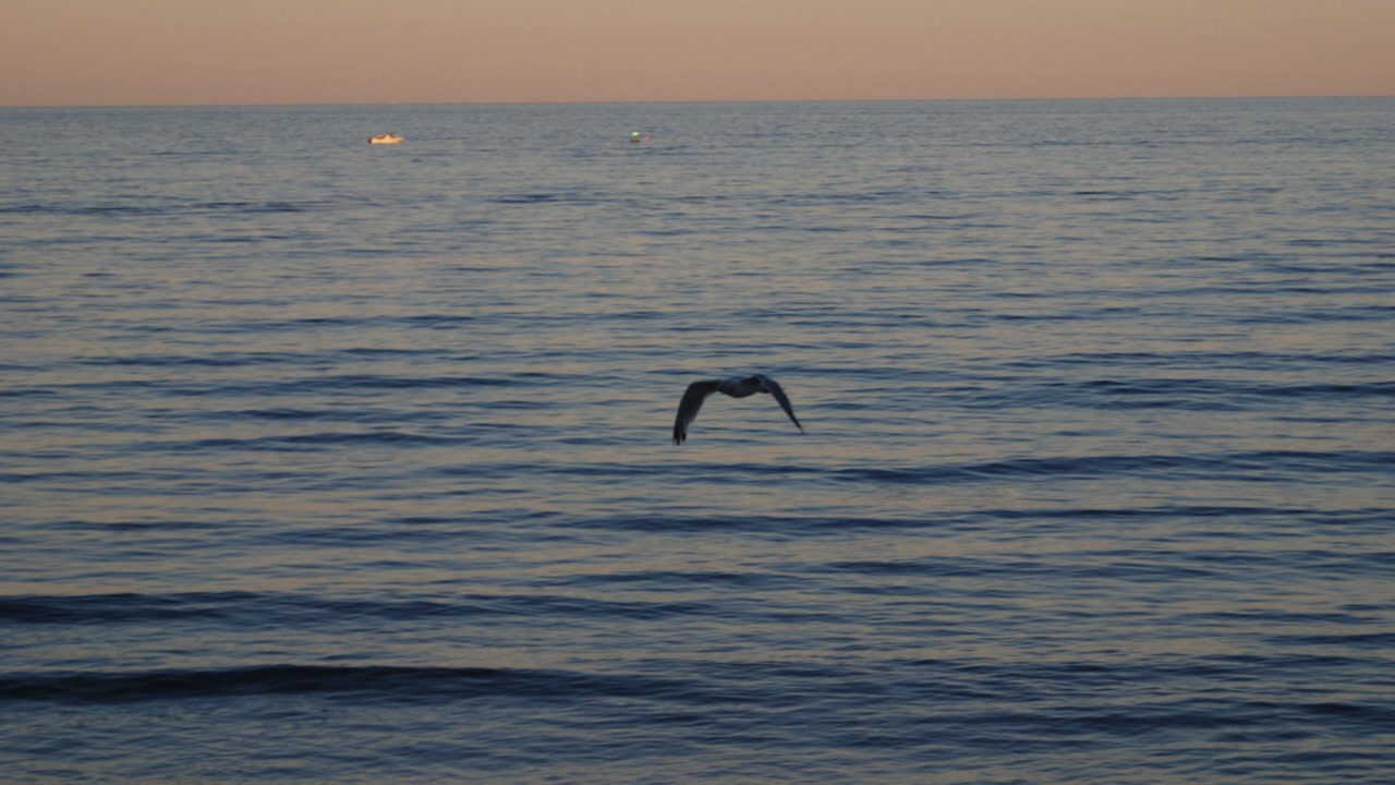 Photo of Others in Green Harbor-Cedar Crest