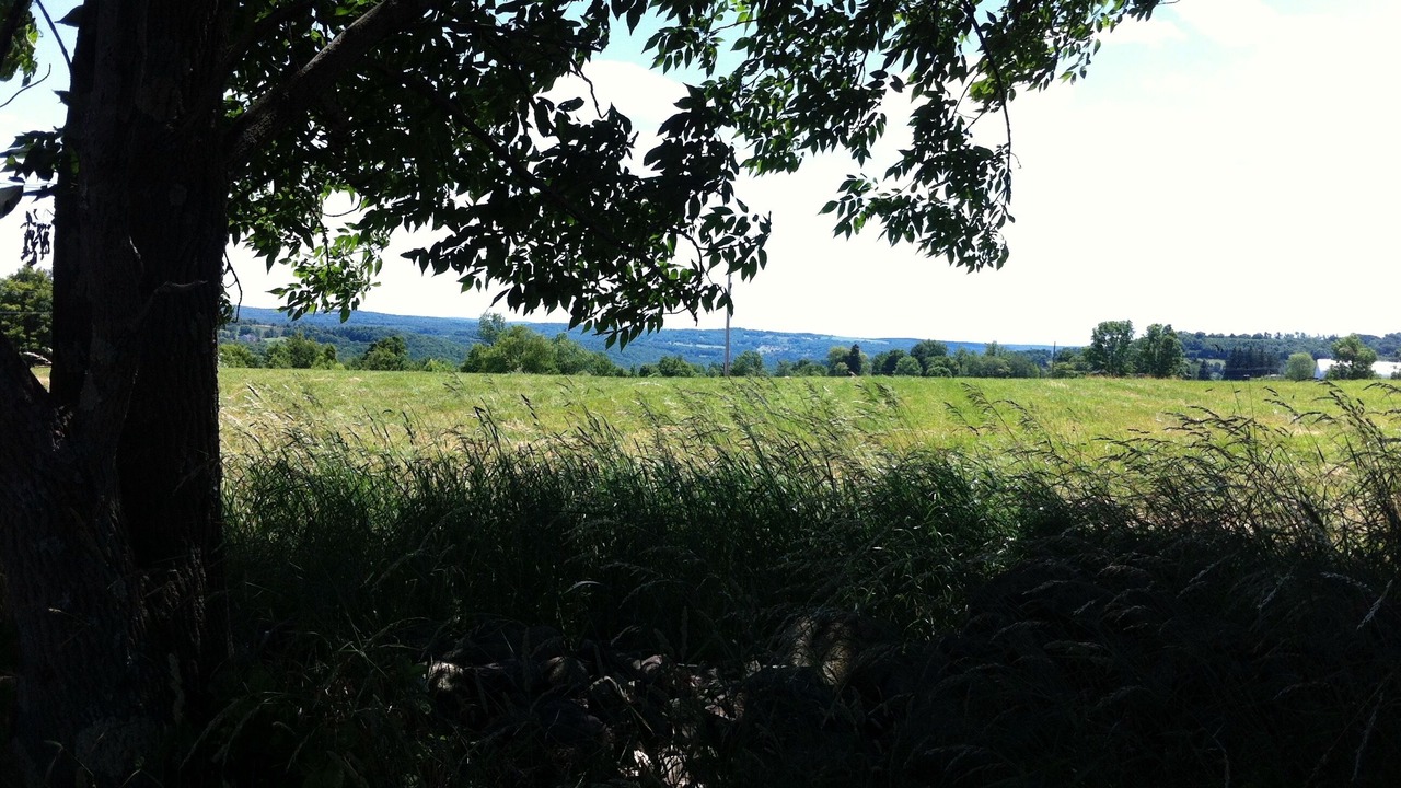 Photo of Others in Town of Delaware