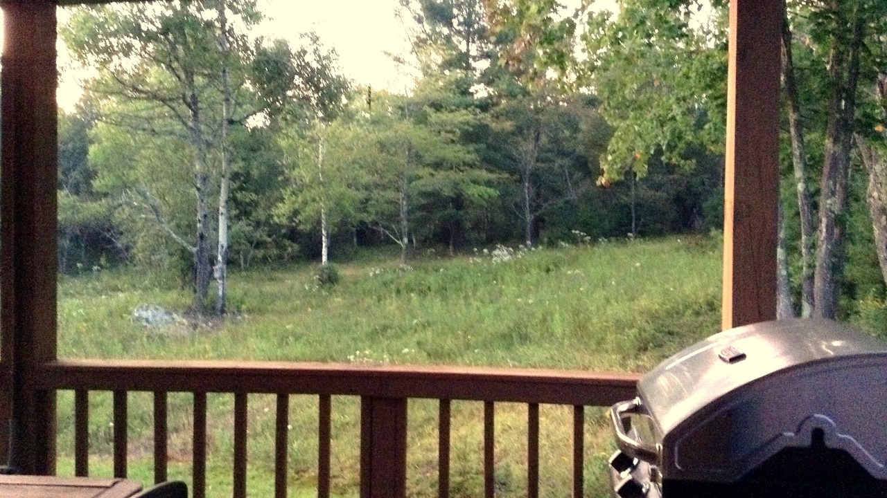 Photo of Outdoor in East Jewett