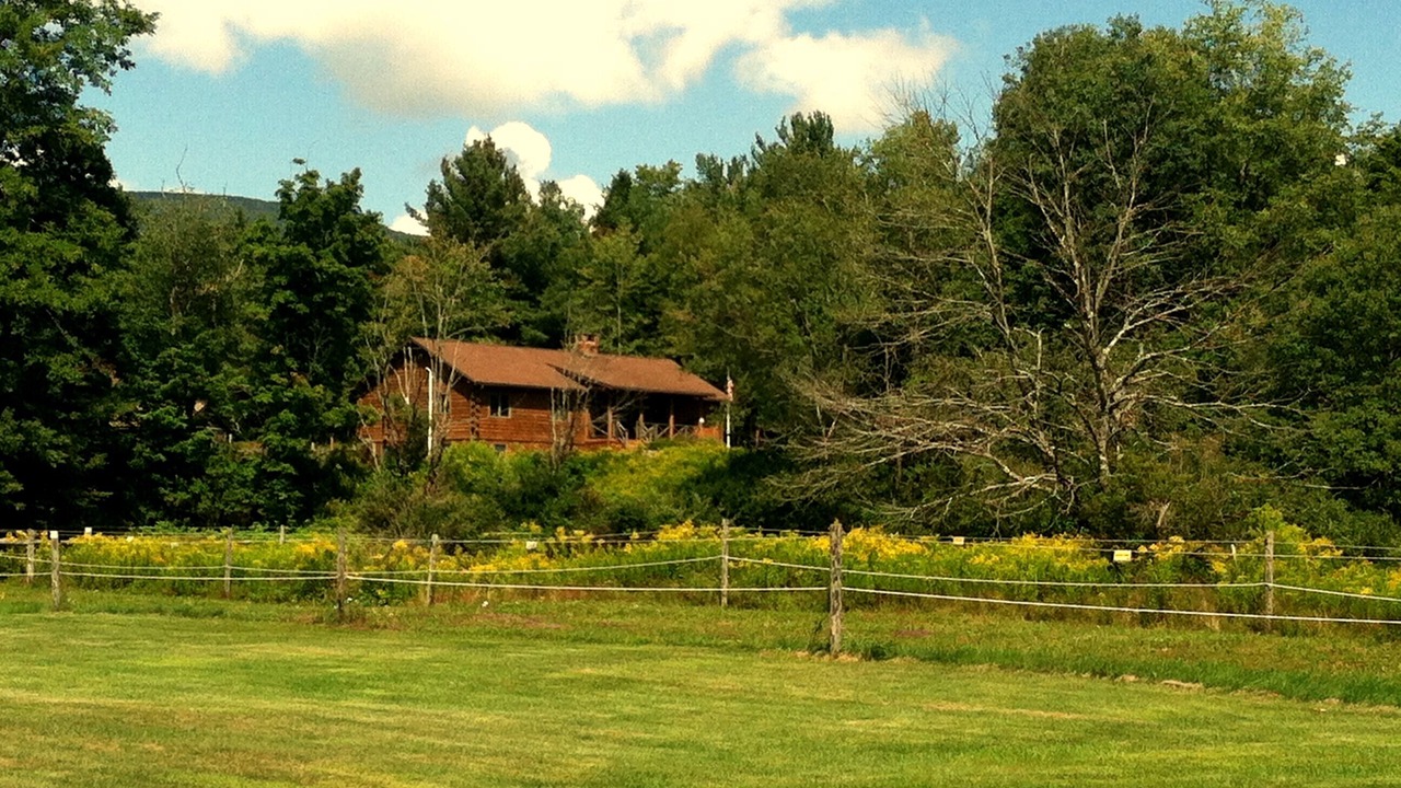 Photo of Others in East Jewett