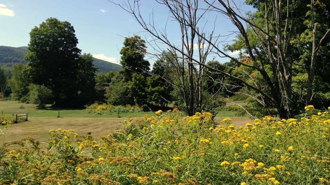 Photo of Outdoor in East Jewett