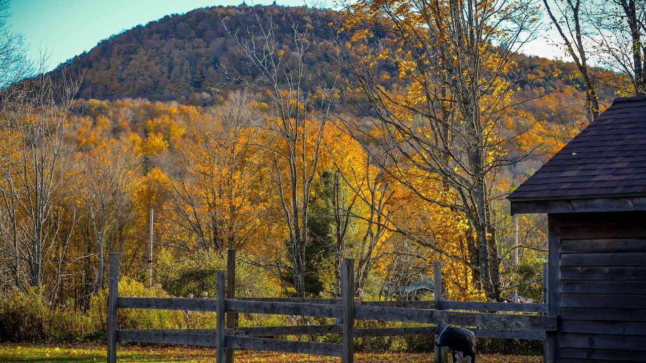 Photo of Others in East Jewett
