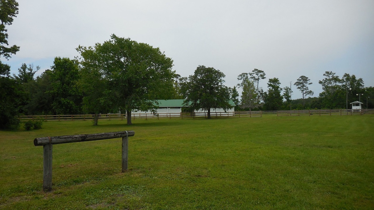 Photo of Outdoor in Elkton
