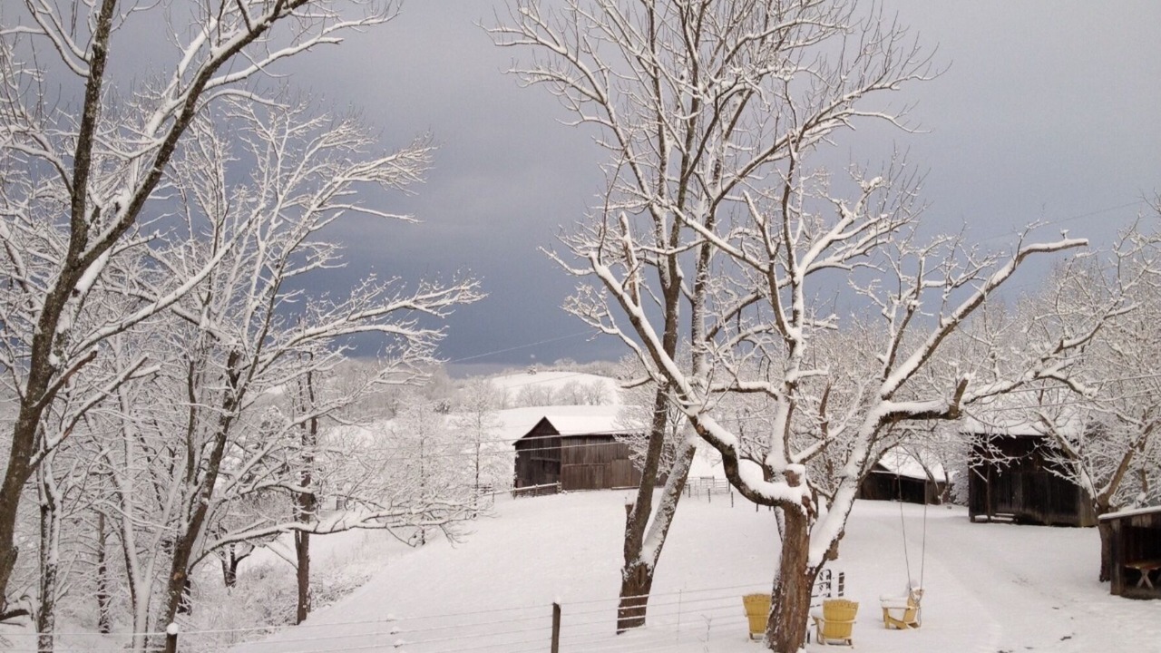 Photo of Outdoor in Lexington