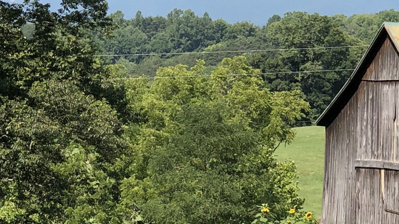 Photo of Outdoor in Lexington